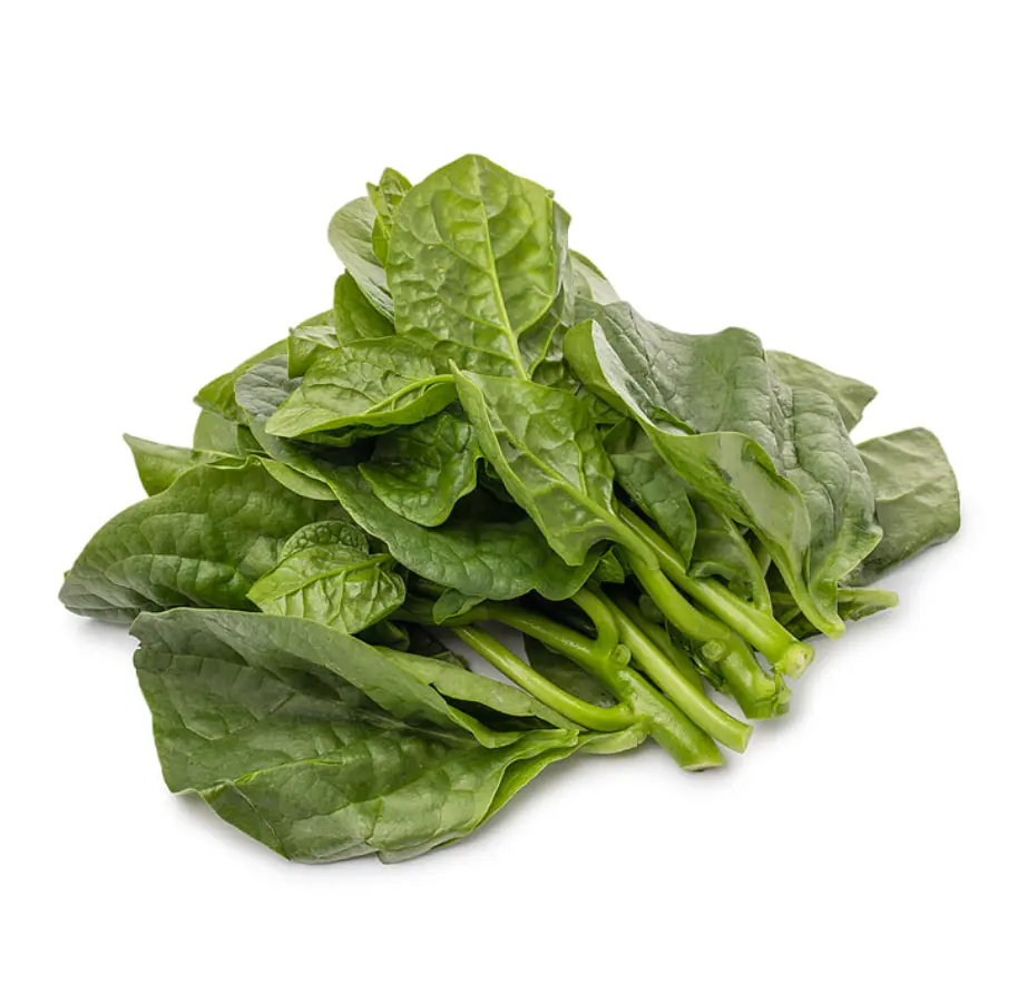 蔬菜 - 木耳菜 潺菜 Malabar Spinach
